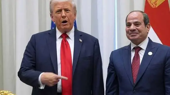 ������ ���� ����� ������ ���� �����