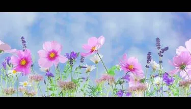 ����� ���� ���� ������ ��� ������� �������