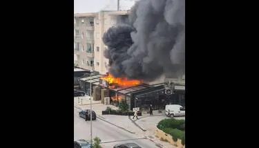 �����: ���� ���  ����� �����  ���� �����  �������� ������� �����