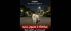  ���.. ������ ������� ���� ��� ���� ��� ���� ������