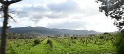 ������� ������ �������� ����� ������ ����� ����� ������� ������� �������� (����� �������)