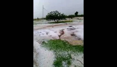 ������: ������� �� ��� �� ������� �������� ������� �������� ����� ����� ������� �������� ��� ����� ����� ���� �� �������