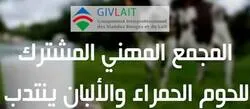 ������ ������ ������� ����� ������� �������� ���� ������� ������ ������� 5 ����� �������