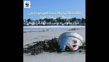 ������� ������� ������� �� ���� ������� ���� ������� ���������� �� ���� ���� �����