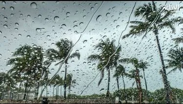 ������ ���� ������ ������ ������� ���� ��� ���� ������ ������