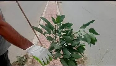  ����� ����� ����� �� ������ ���� ���������� ������ ��� ����� ��������