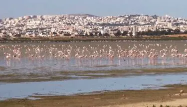 ��� ������������ �������� ������ ���� ����� ��������