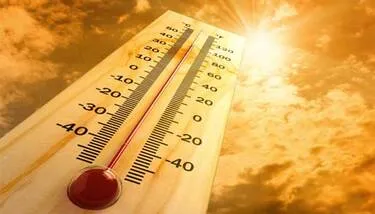  ������ ������ ����� �����: ����� ����� ���� �� �������� �������� ���� ������� ������ �� ��� 2026 