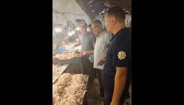 ����� ����: ����� 34 ������ ���� ���� ���� ������ ������ �������� ��������