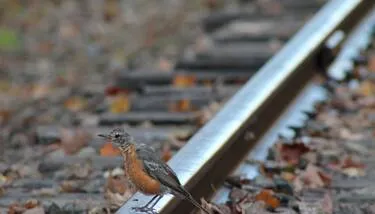 ����� ������ ���������� �����������: ��� 21 ���� ������� ������ ���� ����� ������ �� ��� 2025 ���� 15 ���� �������� ��������