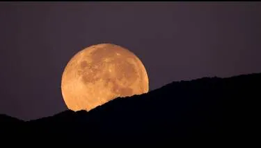 ����� ������ ����� ���� ���� ����� 25 ����� ���� ���� ��� ����� ������ �����