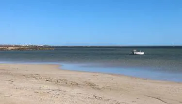 ����� ����� �������� �� ������ ����� ������ ������ �������