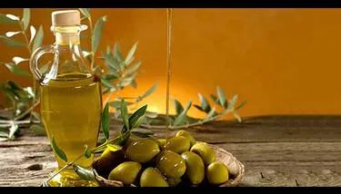 ��� ������� ������� ���� �� ������ ����� ���������� �� ����� ���� ����� ������ ���� �����