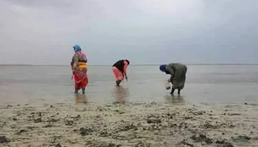 �����:  ��� 6 ����� �� �����.. ����� ����� ����� ��� ������ ������ ������ ����� ���������