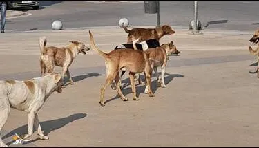 ���� ����� ����� ����� ����� �� ���� ����� ����� ���� ������