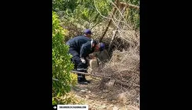 ���� �����: ����� ���� ��� ������ �� ��� ���� ��� 40 ����� ����� ����� �����