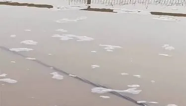 ����� �� ����:  ���� ������� ���� �� ������ ������� ���� ����� ��� ����� ���������