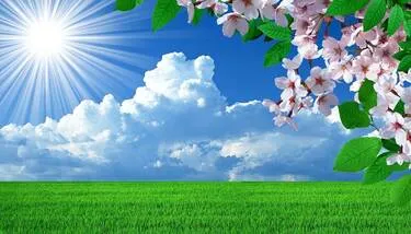 ���� ����� ���������  ���� �����: ������ ������ ������ ������ �� 19 ��� 22 ���� 2026