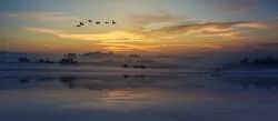 ������ ������ ������ ���� ����   ����� ����� ������ ������ ����� ������