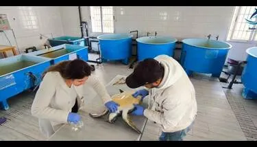 ����� ������ ������:����� ������ ������ ����� ��������