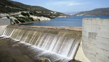 ����� ���� ������ ������ �� ����