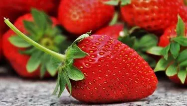  ���� ������� ������ �������� �������� ���� ��  �������� �� ���� ����� ������ ��������� ����� �� �������� ���� ��������