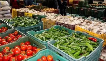 ���� ����� ����� ��������: ������� ������ ���������� ������ ��� ���� �� ������