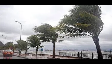 ���� ���� ��� ������ ����� ������ �� ���� ������� �� ��� �����