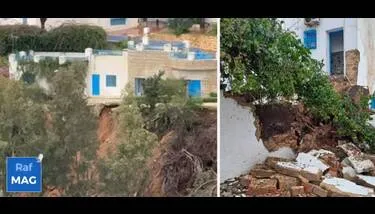 ���� ������ ����� ����� �������� ������