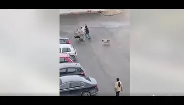 ����� ����� ����� ��� ����� ����� ������ ��� ���� ����