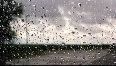 ����� ���� �� �������� ���� ������� ���24 �������.. ������ ���� ���� ����� �������