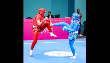    ( 2025):          60      11 