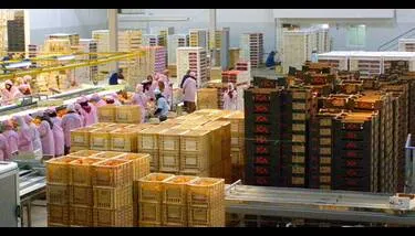 ������ ������ �������� �������� �������� ��� ������� ������ 88 ������� �� 2025