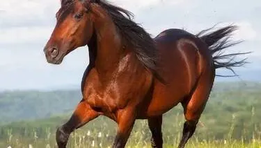 ����: ����� ������ ��� ���� ���� ��������� ��� ����� ������ ����