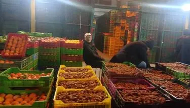 ���� ������� ����� ��� ������ ������ ������� �� ��� ������ ��� ����