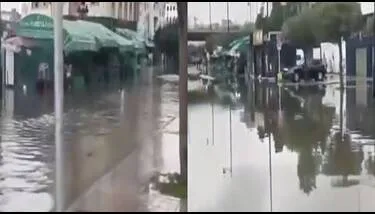 ������� �� ��� ����: ����� ����� ����� ����� ������ ���� ���� ��� ���� �������