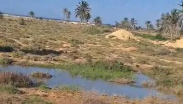  ������ ��� ������ �������� ���� ��� �������� ��� ���� ��� �� ���� ���� ��������