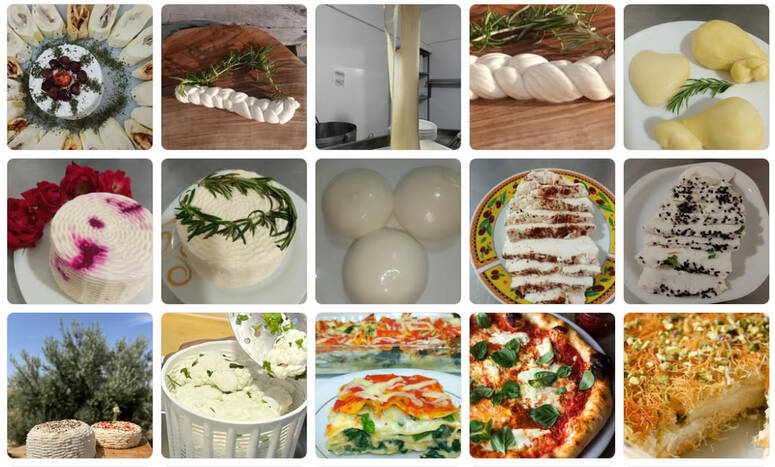 Fromagerie Dar Bargou  