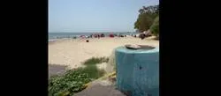 ������ ����� ���� ����� ����� ���� ����� ����� ��� ���� �������� 