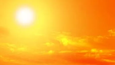 ���� 2026/2025: ��� ����� ������ ���� �� ����� �������   �� ������ �������