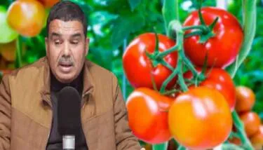 ������� ���� �������� ������� �� ������х  ���� ����� �������� ���� ������� ����� ��� �������