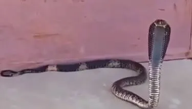  ���� ����� ������� ������� �� ���� ����� ���� ����� ������� ����� ����