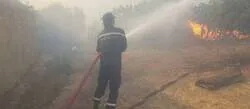������: ���� ������� ���� �������� ������ �������� �������� �� ���� ��� ������ �����