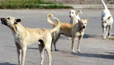 ������ ���� ������ ������� ����� ������  �������� ���� ������ ���� ������ ������� ������ ������ �������