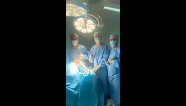 ������: ���� ���� ����� ����� ���� ������� ���� ��������� ������ �������