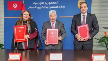 ����� 7 �������� ������ �������� ���� �������