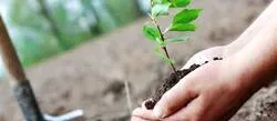 ����� ����� �����ء ����� ��� ����� ������ ������ ���� ������� ��� ������