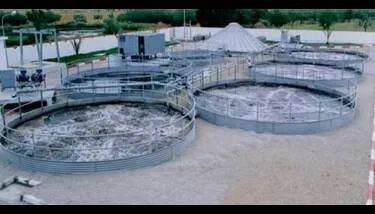 ����� ������ ������ �������� ��������� ����� ����� ��������� ����� ����� ������ ���������