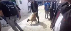 ����� ���� ��� ���� ��� ������� �������� �� ������� ����� ��� ���� ���� ���� �������� �� ��������