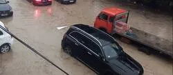 �� ����: ���� ����� ���� �� ������� ����� �� ������ �����
